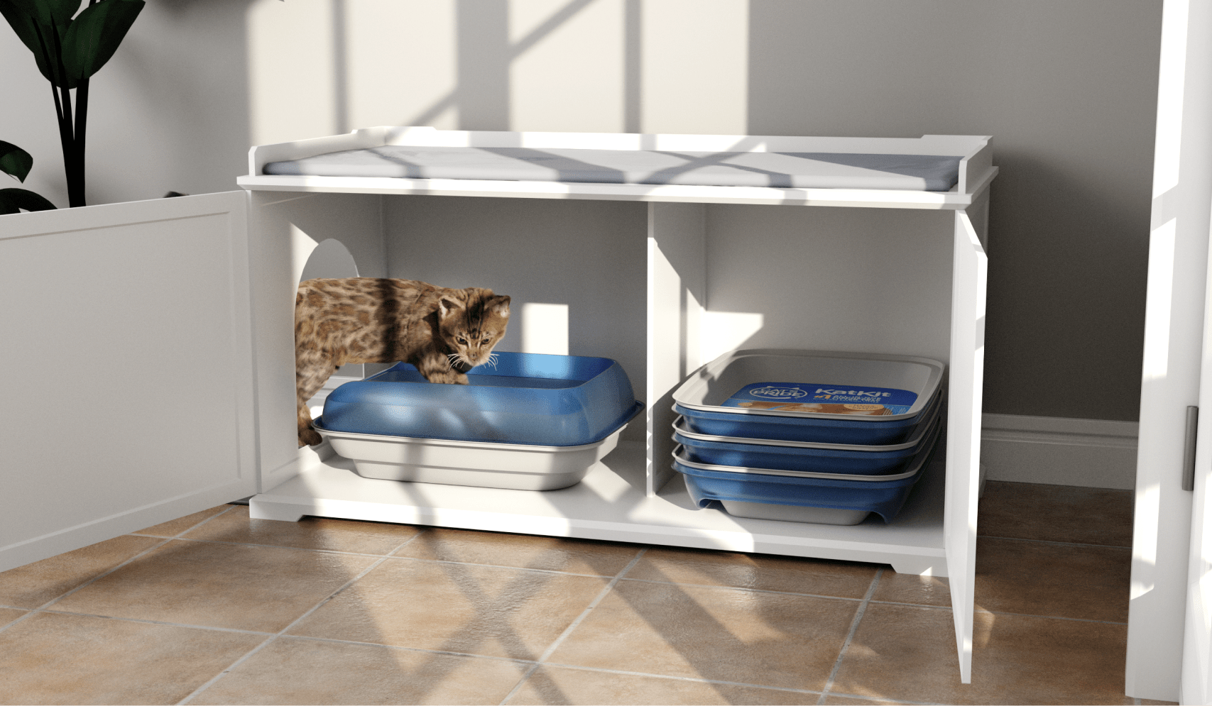 Read more about the article Cat’s Pride